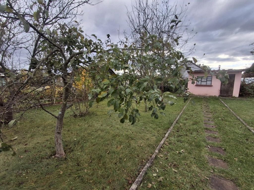 Działka rod Lubin. Zdjęcie 7