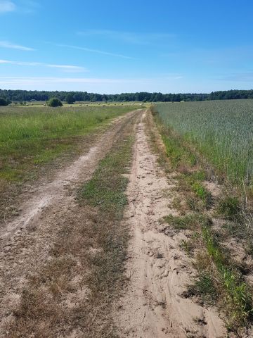 Działka budowlana Sarbsk, Sarbsk. Zdjęcie 15