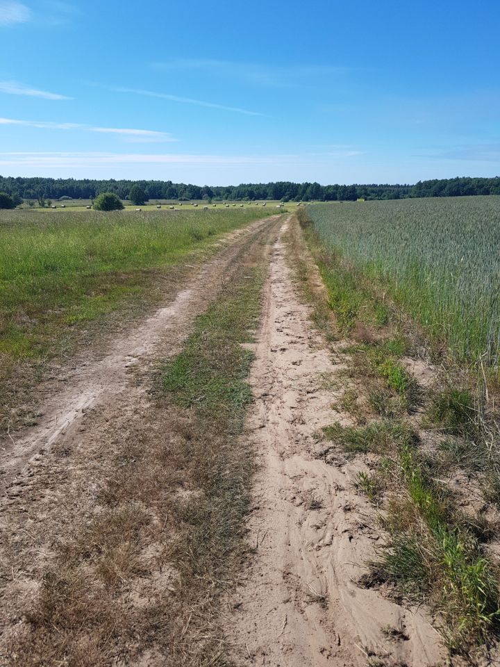 Działka budowlana Sarbsk, Sarbsk. Zdjęcie 15