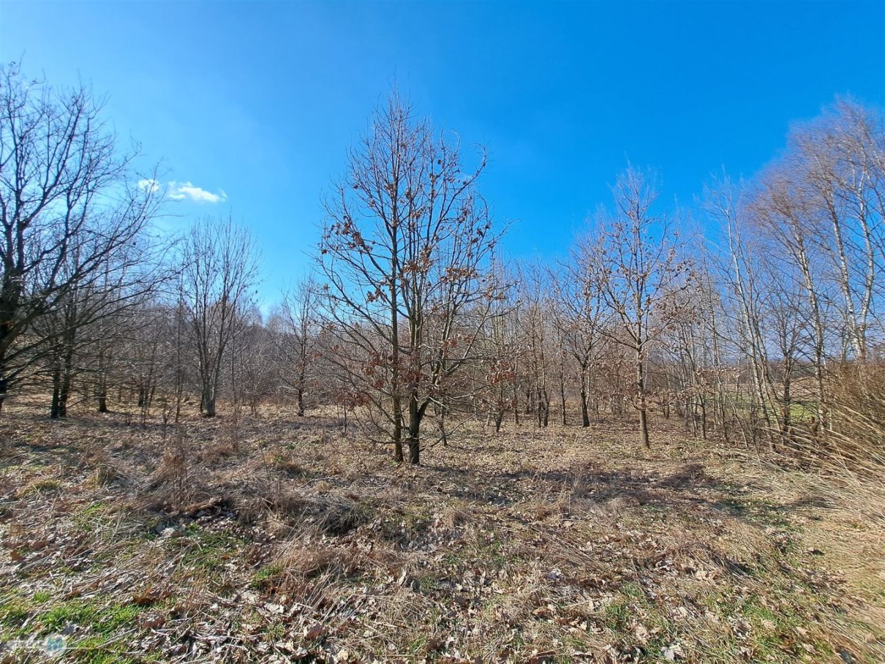 Działka budowlana Łagów. Zdjęcie 7