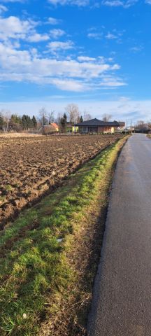 Działka rolno-budowlana Głuchów. Zdjęcie 1