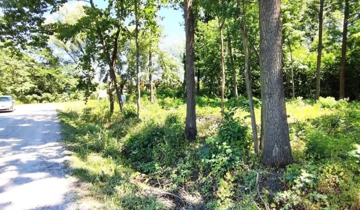 Działka rolno-budowlana Halinów