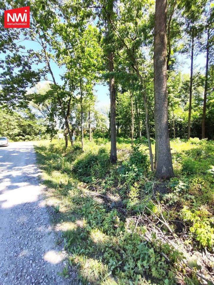 Działka rolno-budowlana Halinów