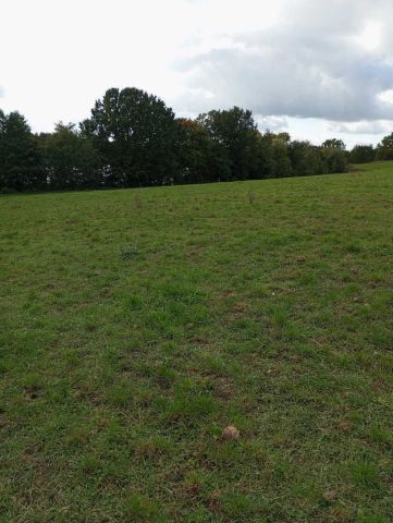 Działka inwestycyjna Długie. Zdjęcie 1