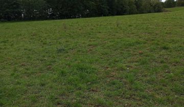 Działka inwestycyjna Długie