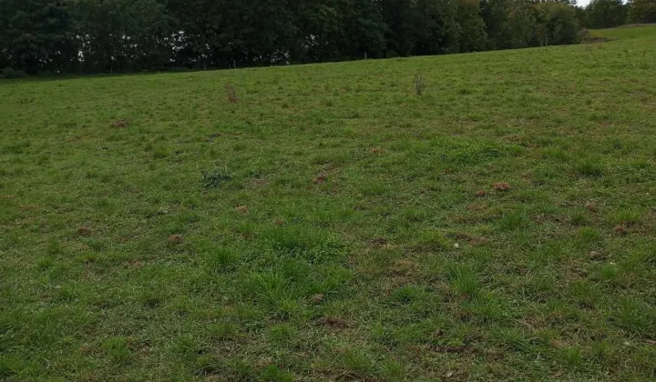 Działka inwestycyjna Długie