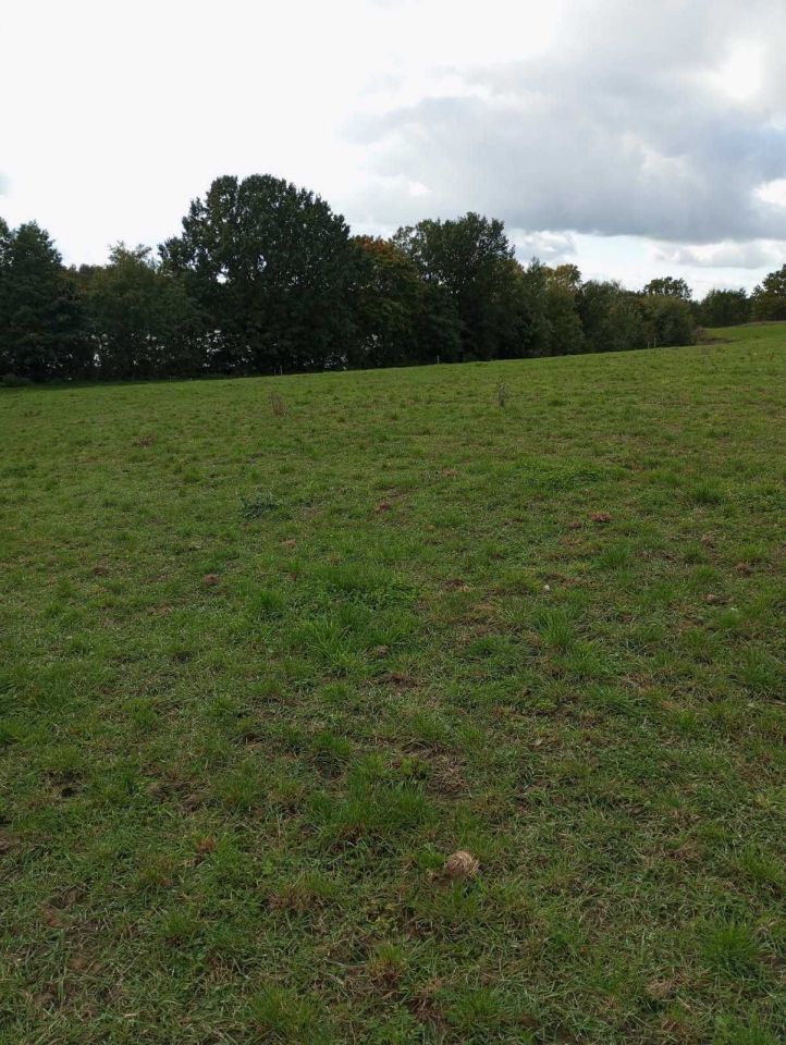 Działka inwestycyjna Długie