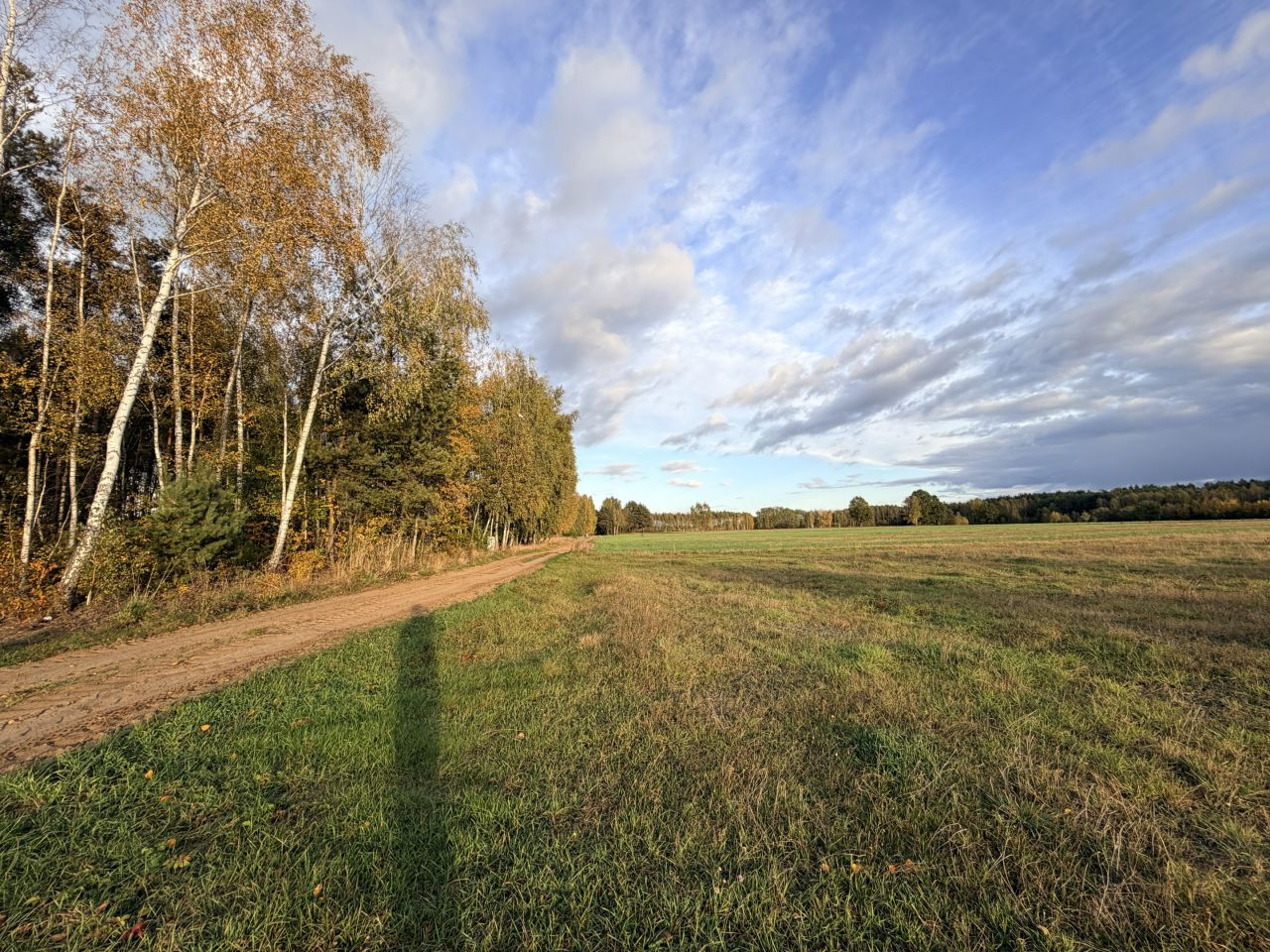 Działka budowlana Napiórki Butne. Zdjęcie 16