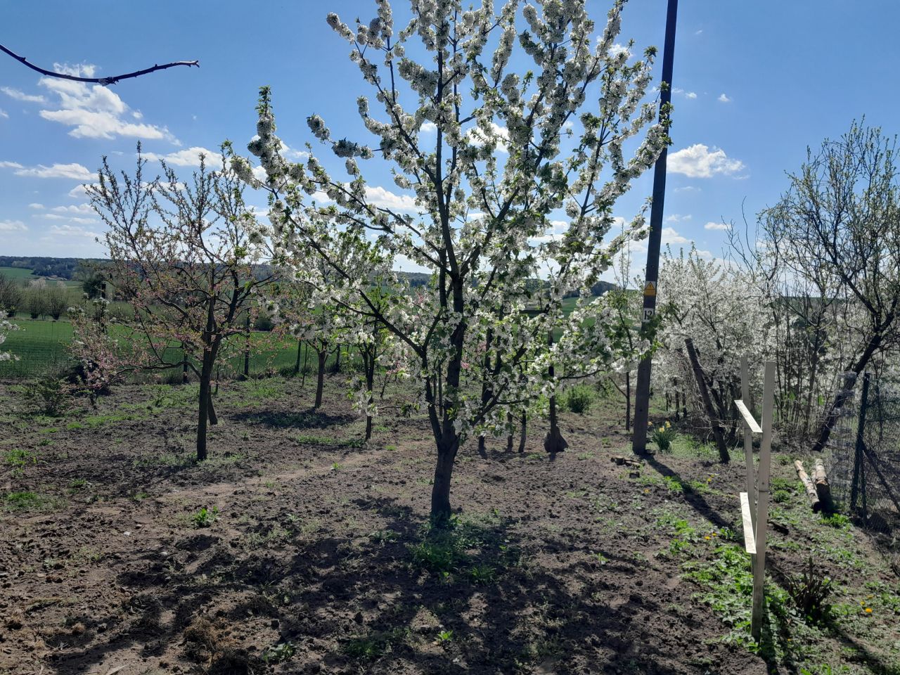 dom wolnostojący, 5 pokoi Grabowiec-Góra. Zdjęcie 13