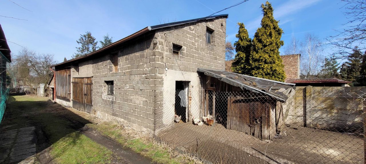 gospodarstwo Myszków Mrzygłód. Zdjęcie 8