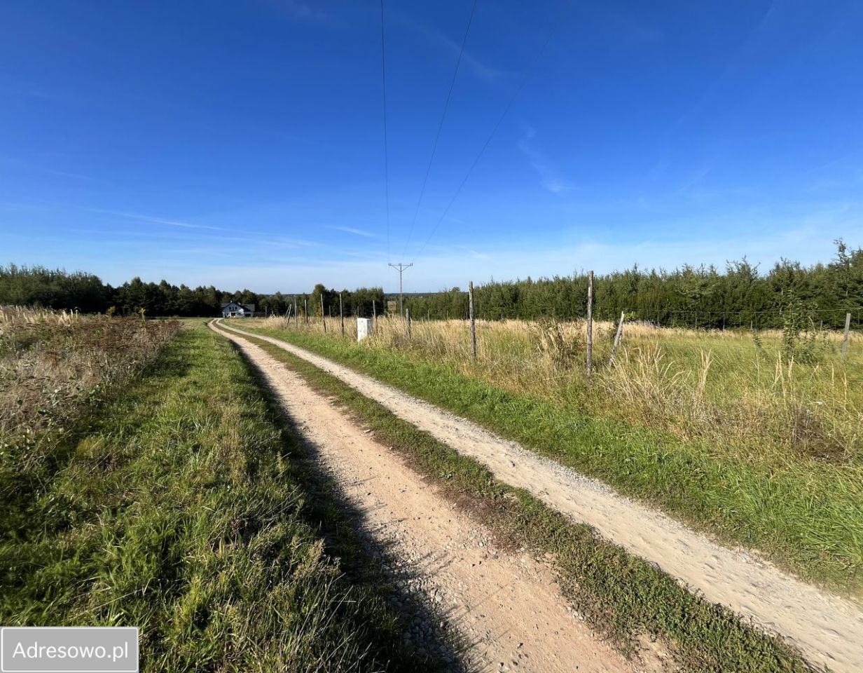 Działka rolno-budowlana Olchowa. Zdjęcie 6