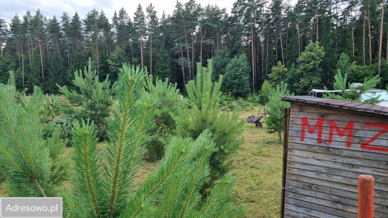 Działka budowlana Serski Las. Zdjęcie 4