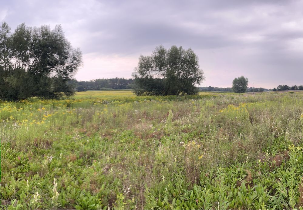 Działka budowlana Czapelki. Zdjęcie 2