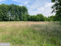 Działka rolna Ksawerów Nowy. Zdjęcie 2