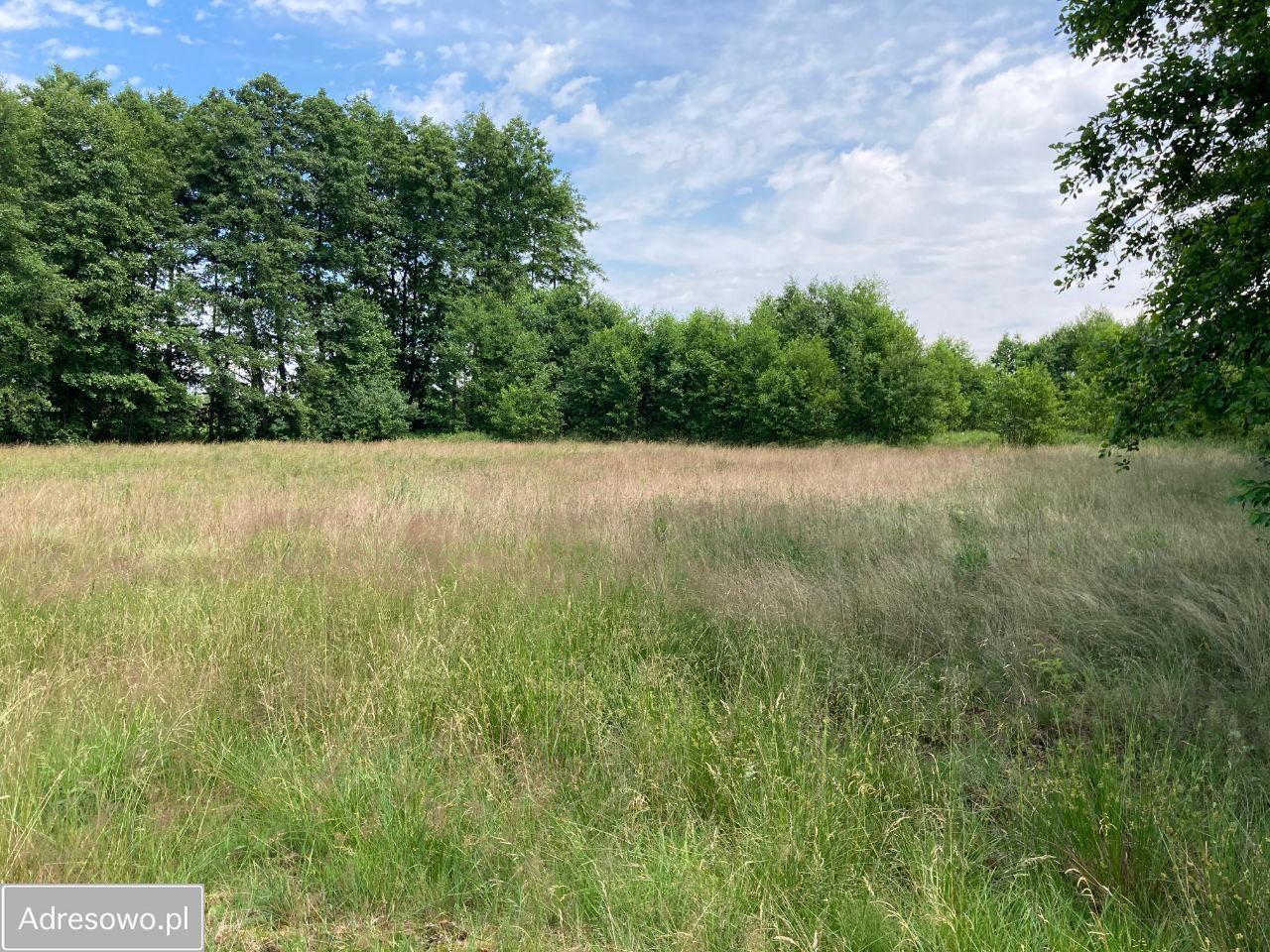 Działka rolna Ksawerów Nowy. Zdjęcie 3