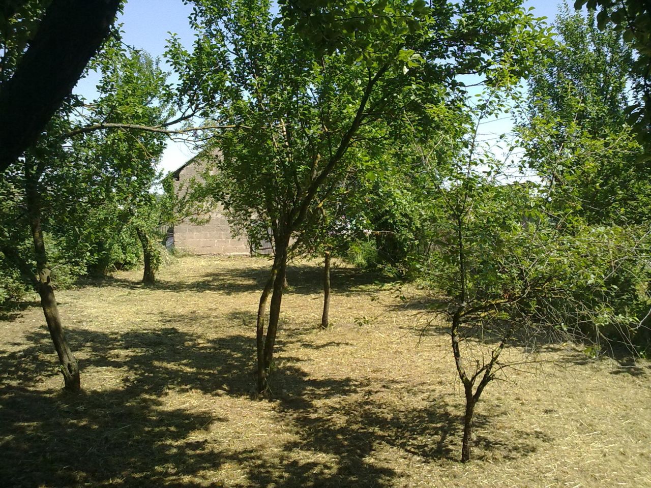 dom wolnostojący, 4 pokoje Kosiły. Zdjęcie 13