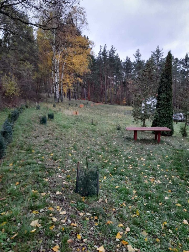 dom wolnostojący Pień. Zdjęcie 3