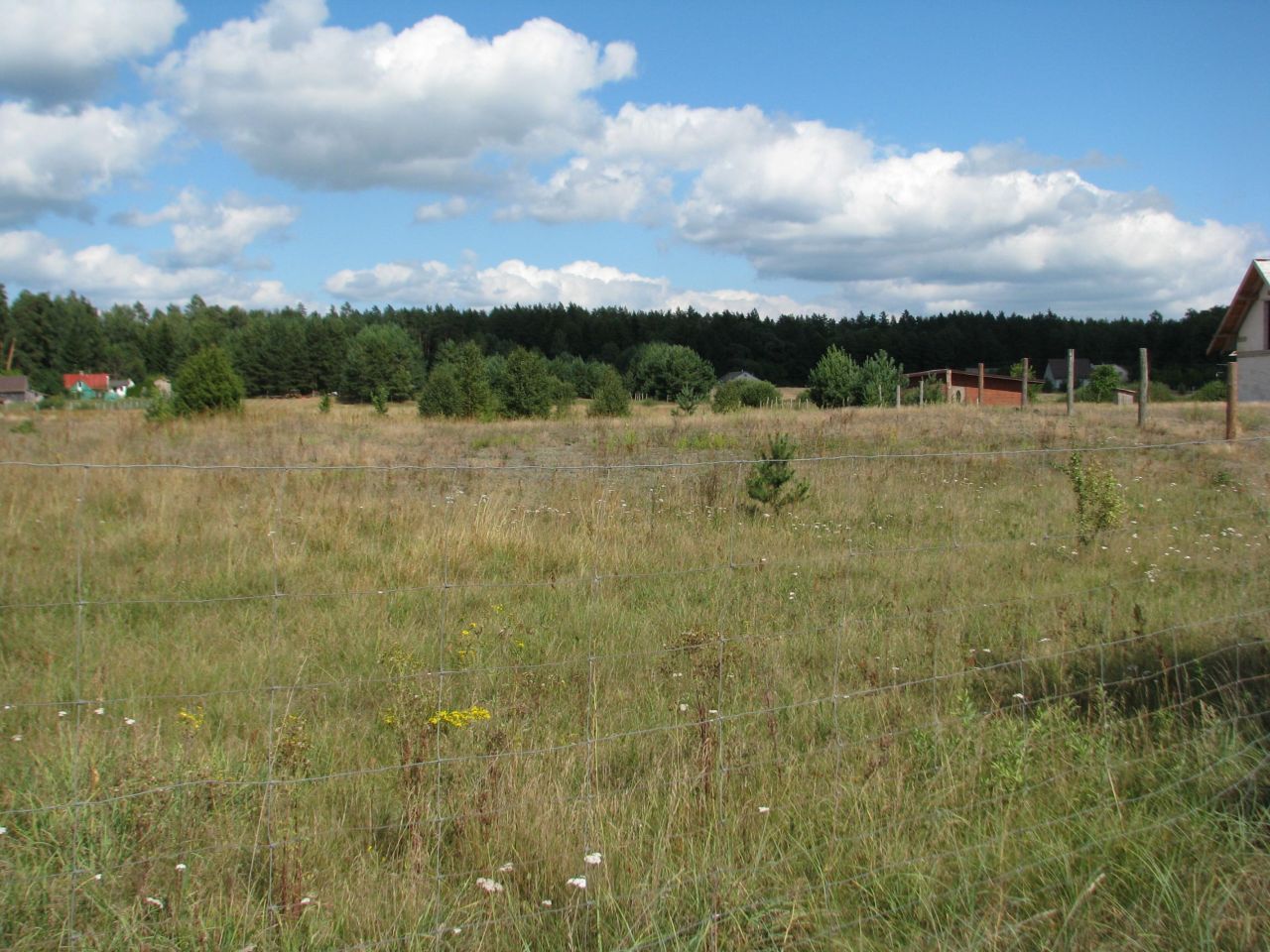 Działka rolno-budowlana Strękowizna. Zdjęcie 1
