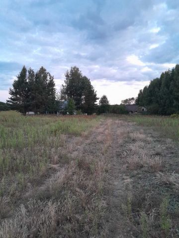 Działka rolno-budowlana Myślibórz. Zdjęcie 1