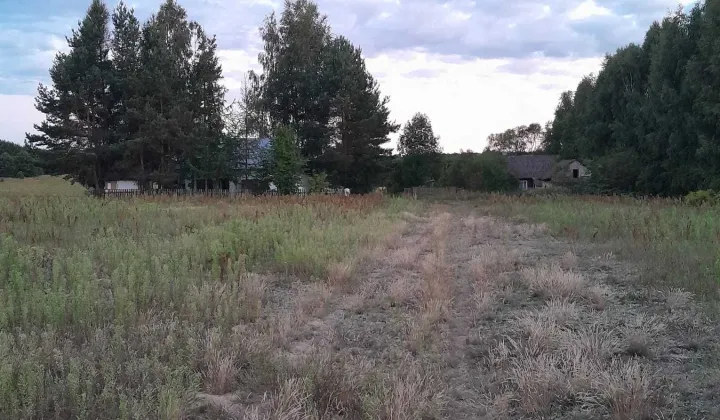Działka rolno-budowlana Myślibórz