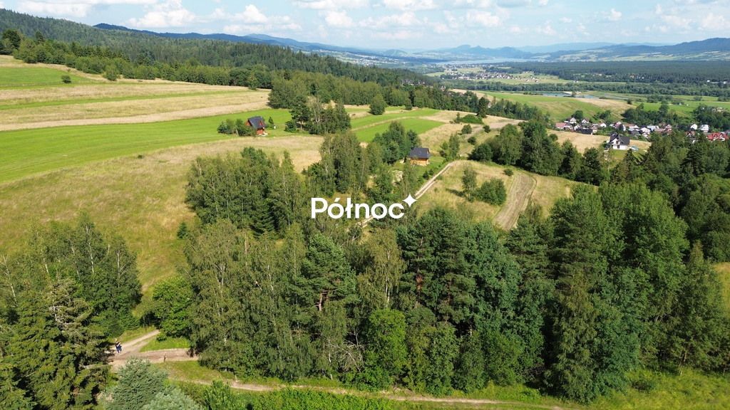 Działka rolna Łopuszna. Zdjęcie 5