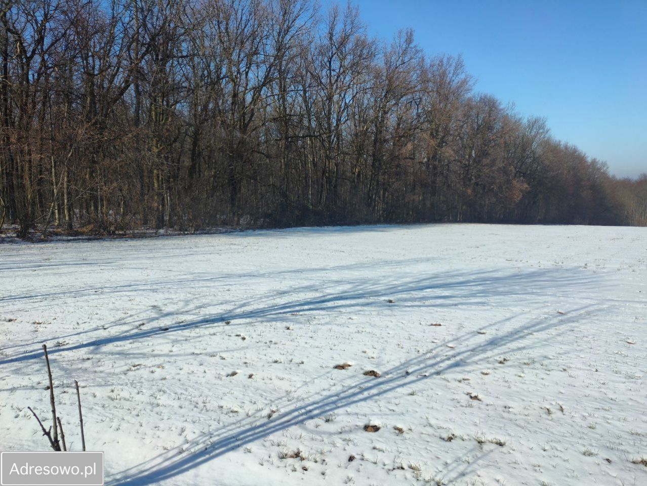 Działka budowlana Celiny. Zdjęcie 18