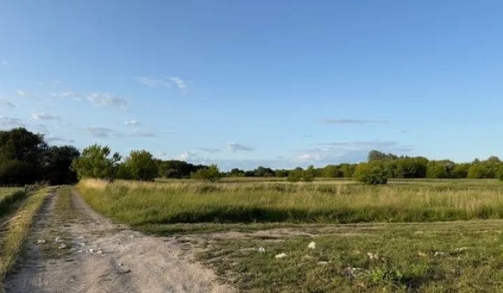 Działka rolna Zarzecze