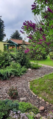 Działka rod Zielona Góra. Zdjęcie 1