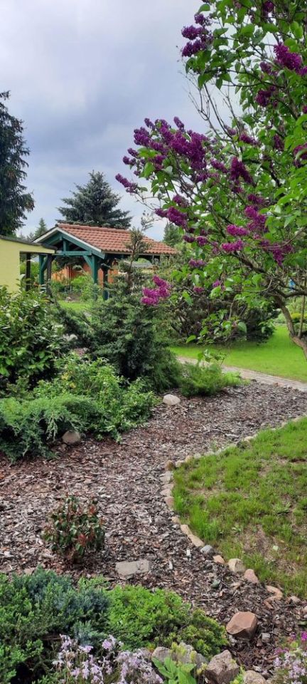 Działka rod Zielona Góra. Zdjęcie 1