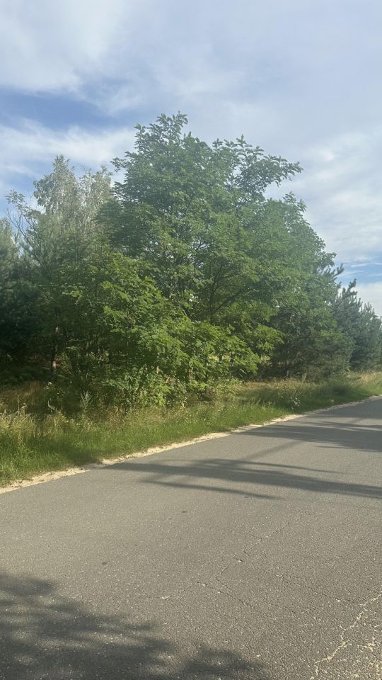 Działka rolno-budowlana Dębniak, ul. Wiśniowa. Zdjęcie 5