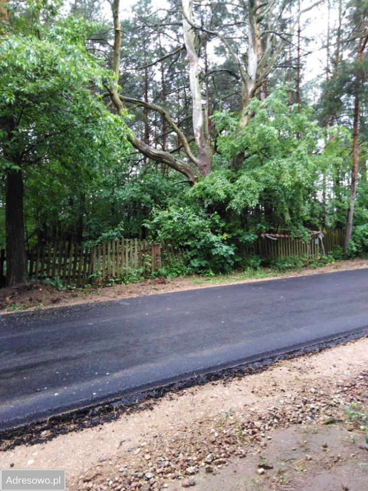 Działka rolna Siwiki. Zdjęcie 7