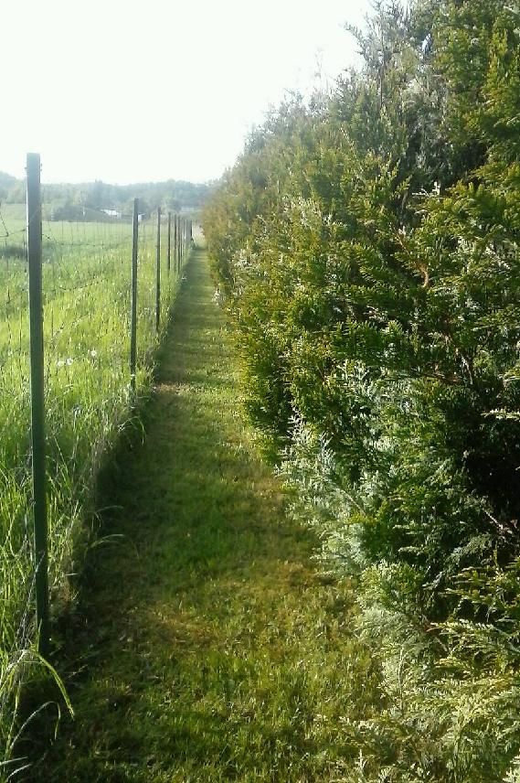 Działka budowlana Gorzów Wielkopolski Wieprzyce, ul. Dolna. Zdjęcie 7