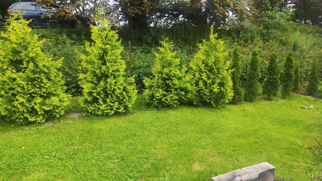 Działka rod Lasowiec. Zdjęcie 5