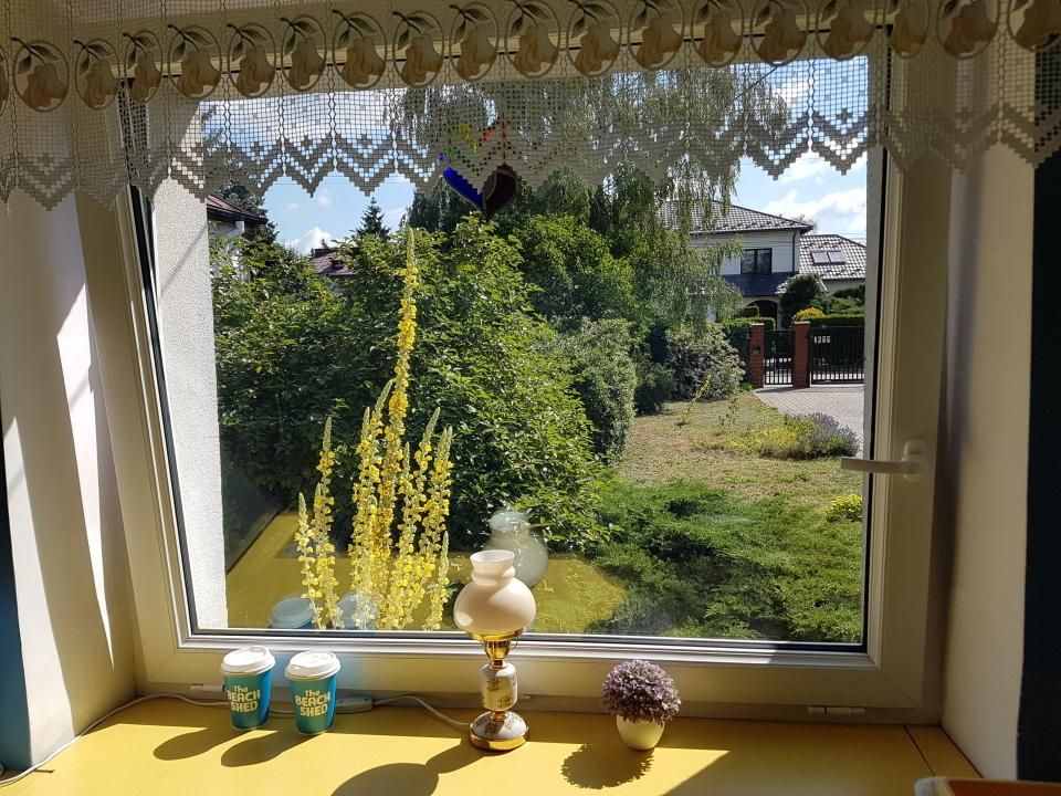 dom wolnostojący, 7 pokoi Warszawa Wawer, ul. Rogatkowa. Zdjęcie 7