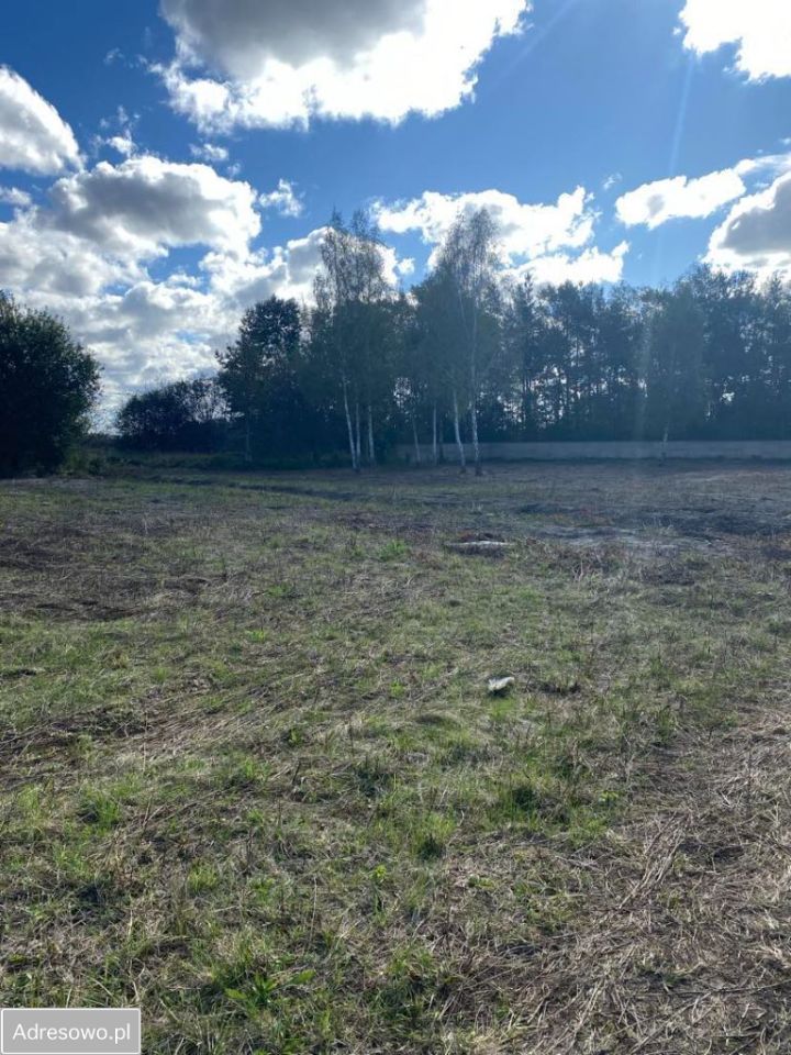 Działka rolno-budowlana Cerekiew. Zdjęcie 2