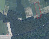 gospodarstwo, 9 pokoi Chlewiska. Zdjęcie 4