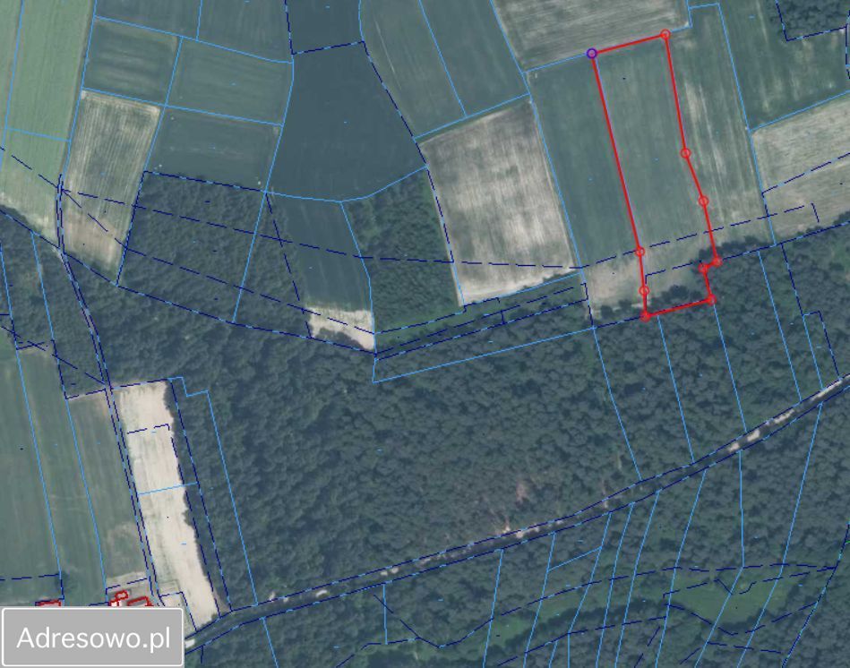 gospodarstwo, 9 pokoi Chlewiska. Zdjęcie 5