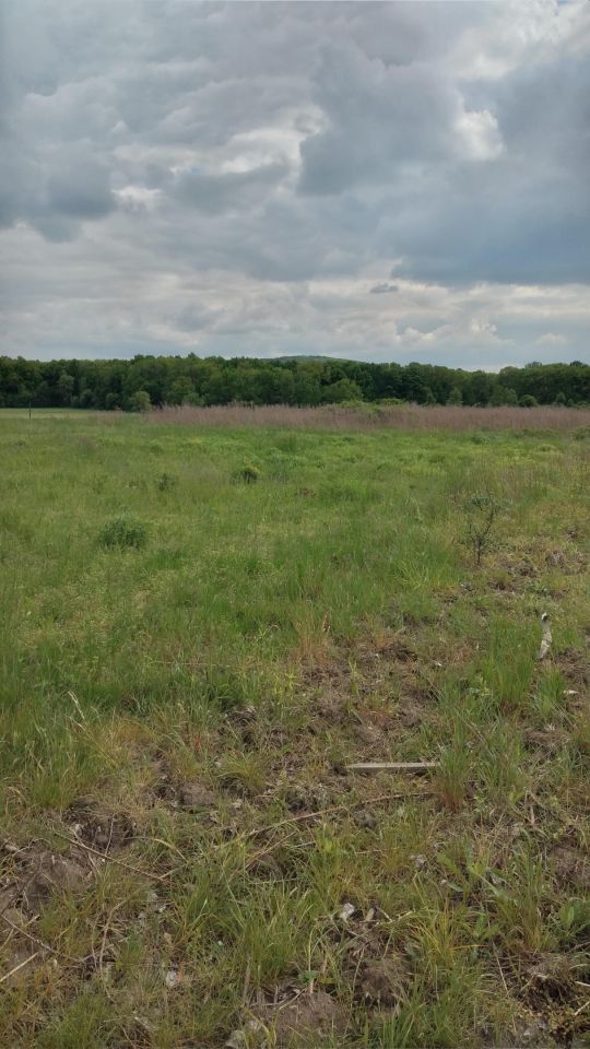 Działka rolno-budowlana Osiek, ul. Dębowa. Zdjęcie 3