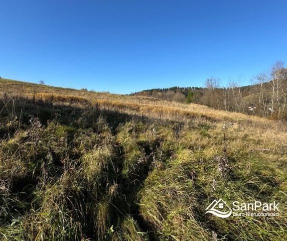 Działka rolna Lesko. Zdjęcie 8