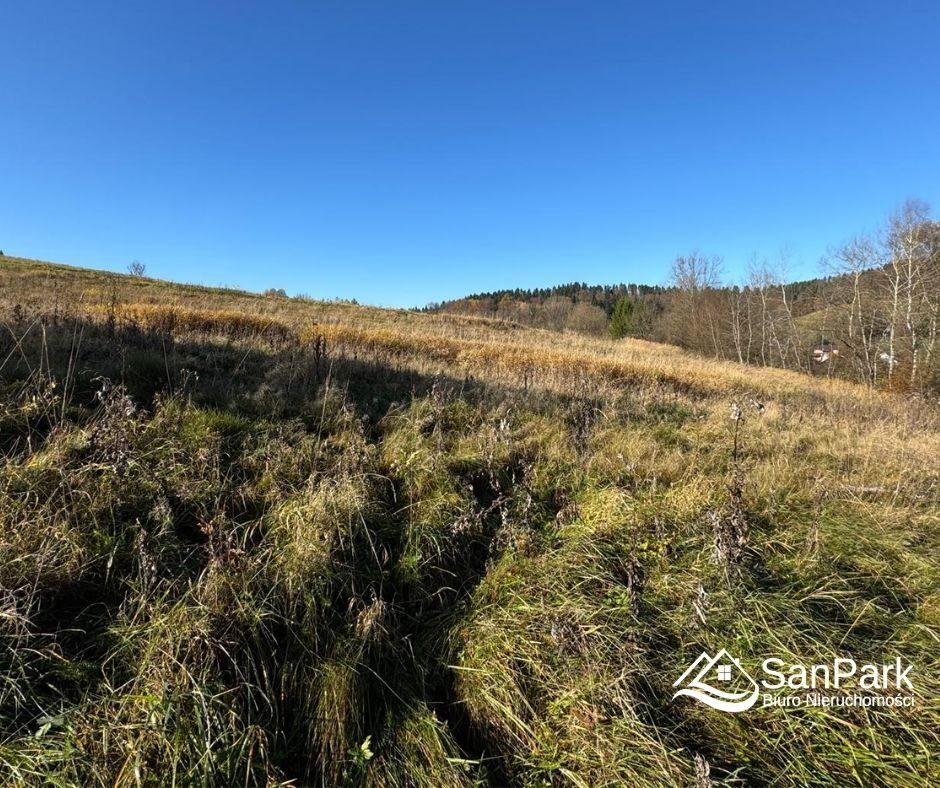 Działka rolna Lesko. Zdjęcie 8