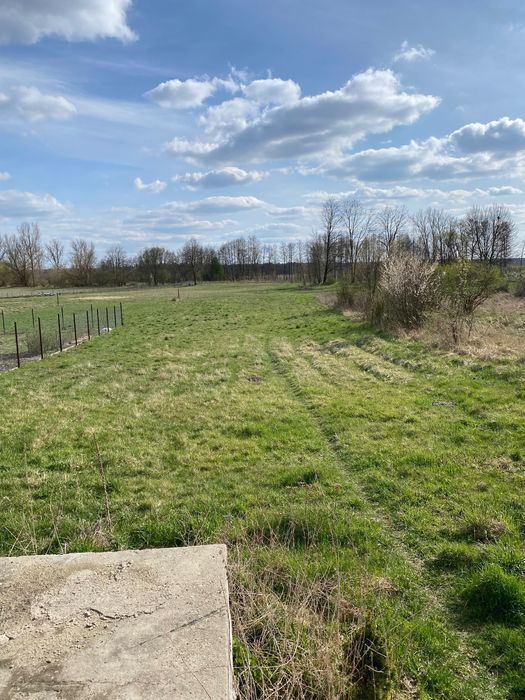 Działka rolno-budowlana Pobiedna. Zdjęcie 6