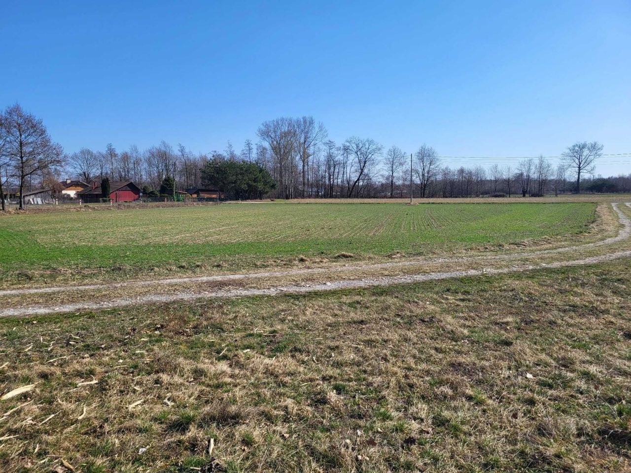 Działka rolno-budowlana Smęgorzów. Zdjęcie 3