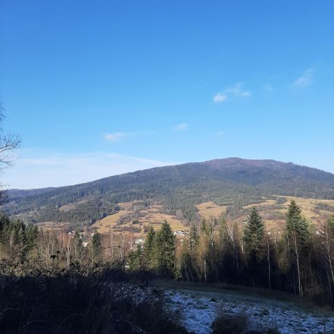 Działka rolna Rabka-Zdrój Zaryte, ul. Zaryte. Zdjęcie 1