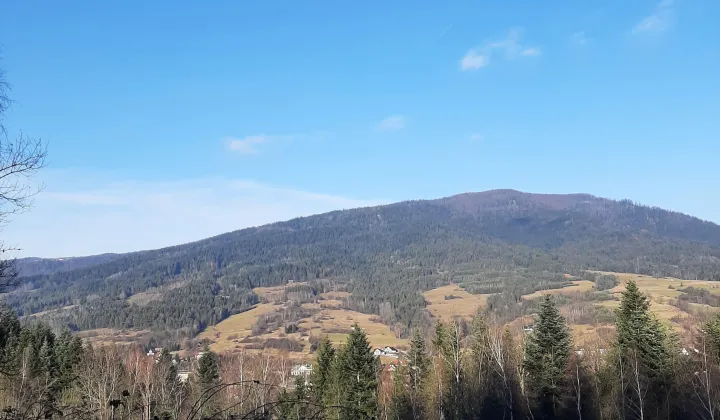 Działka rolna Rabka-Zdrój Zaryte, ul. Zaryte