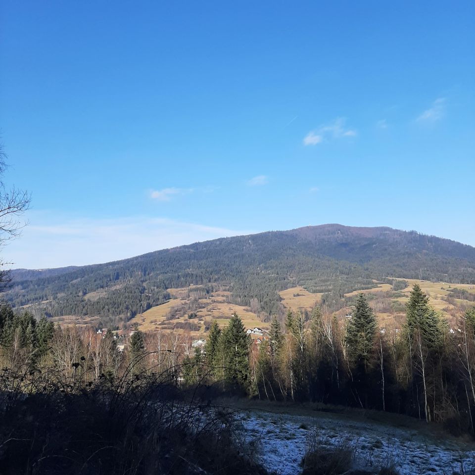 Działka rolna Rabka-Zdrój Zaryte, ul. Zaryte