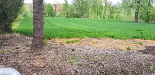 Działka budowlana Kacice. Zdjęcie 2