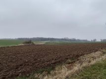 Działka rolna Wielowieś. Zdjęcie 2