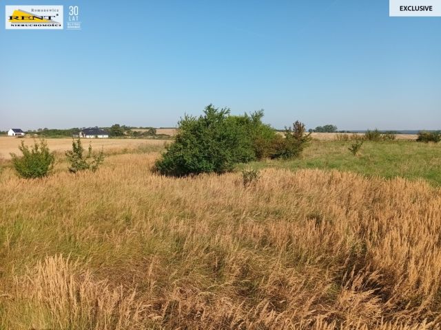 Działka budowlana Chabowo. Zdjęcie 3