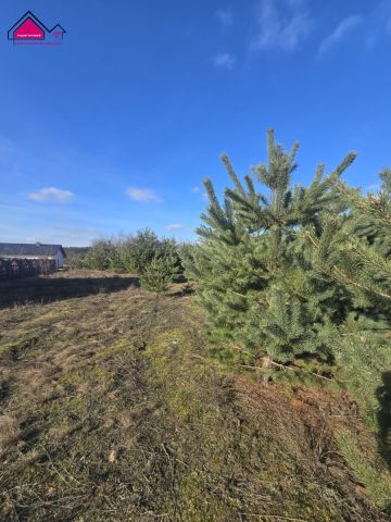 Działka budowlana Anastazewo. Zdjęcie 3