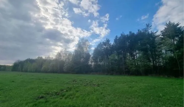 Działka rolna Przewrotne